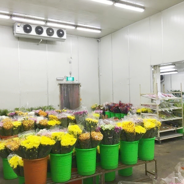 鲜花冷藏库 鲜花冷藏库
