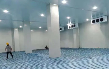建冷冻库需要多少钱一平方？