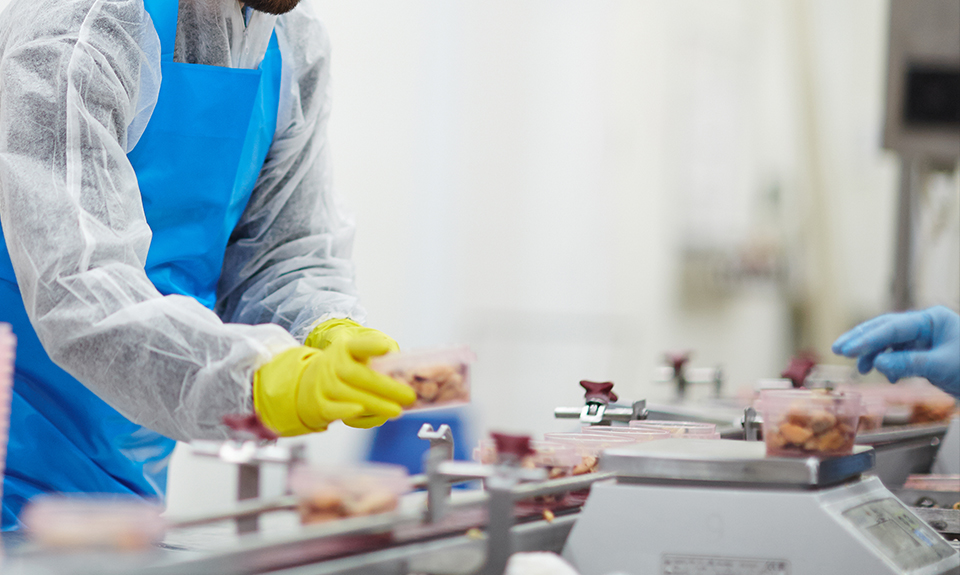 Food Processing